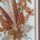 Herbier authentique signé