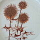 Six sandstone dessert plates