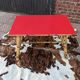 Rattan coffee table
