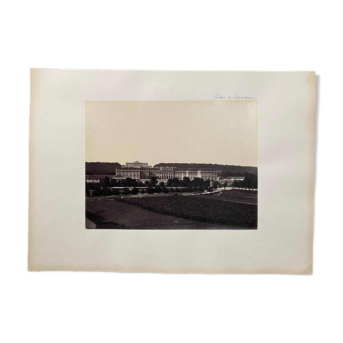 Photo Schoenbrunn Palace 19th century albumen laminated cardboard