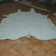 Carpet skin of cow 195x226cm