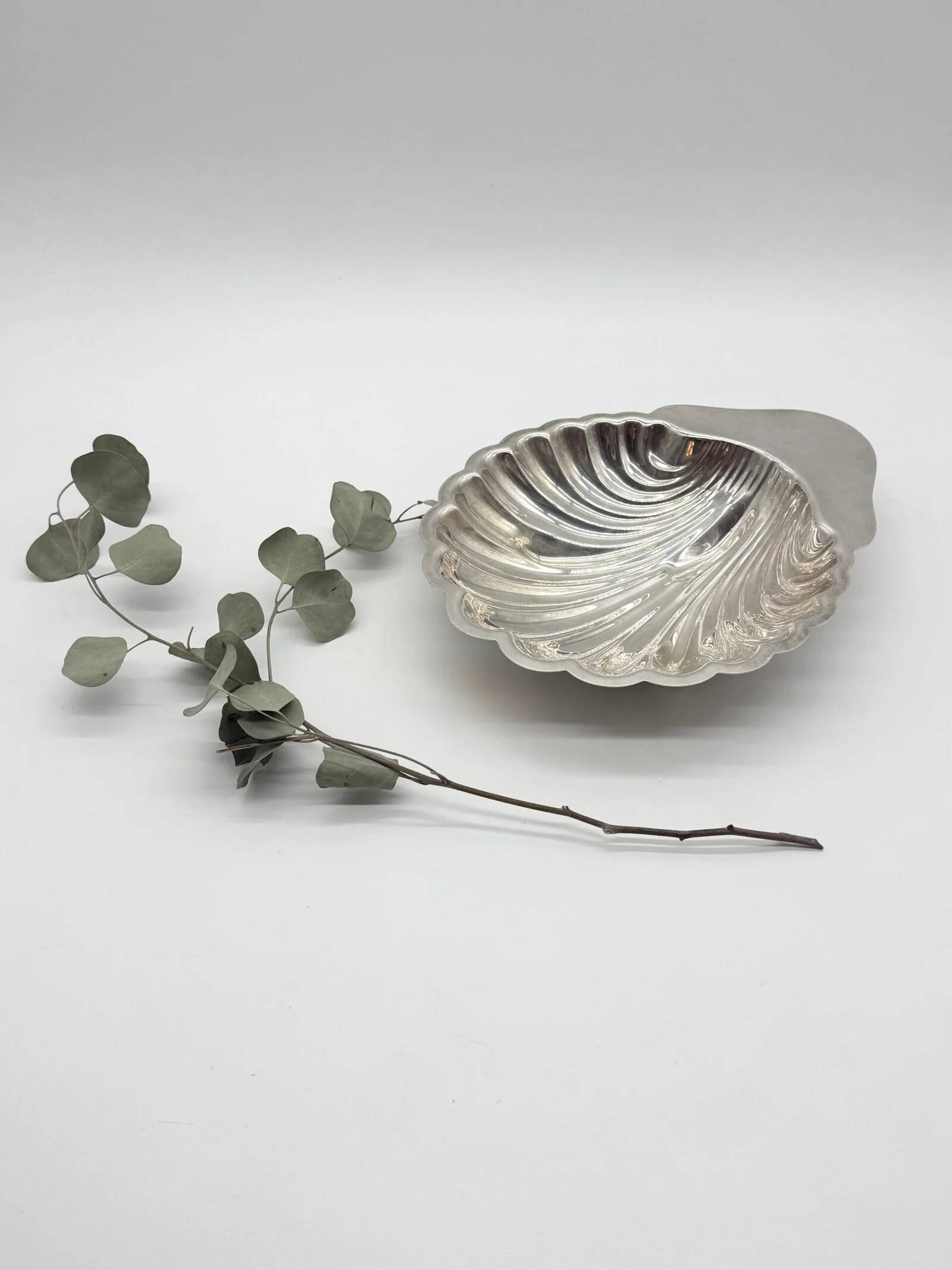 Large shell signed "Saint Hilaire", 1950s