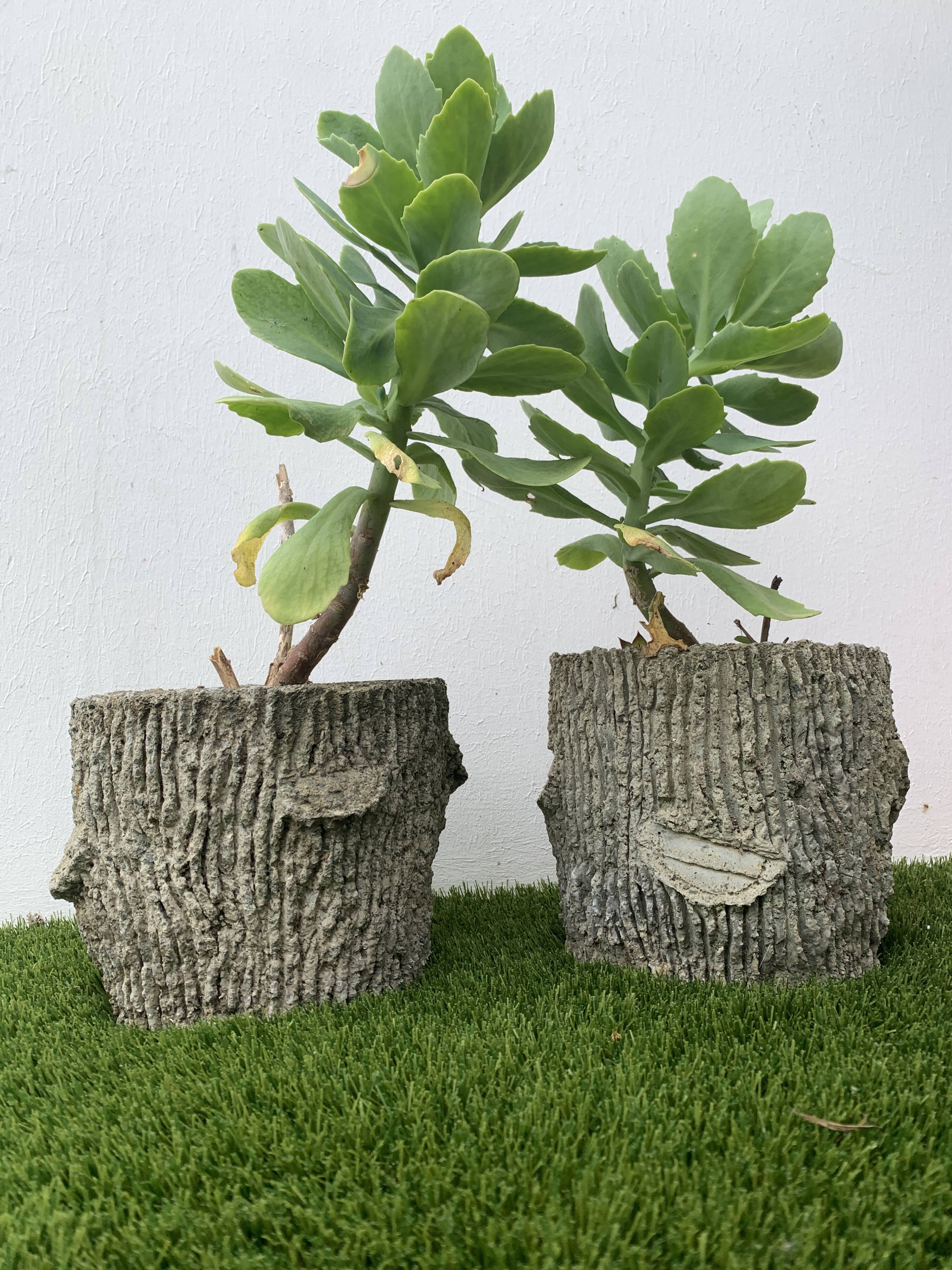 Two cement planters imitation tree trunks