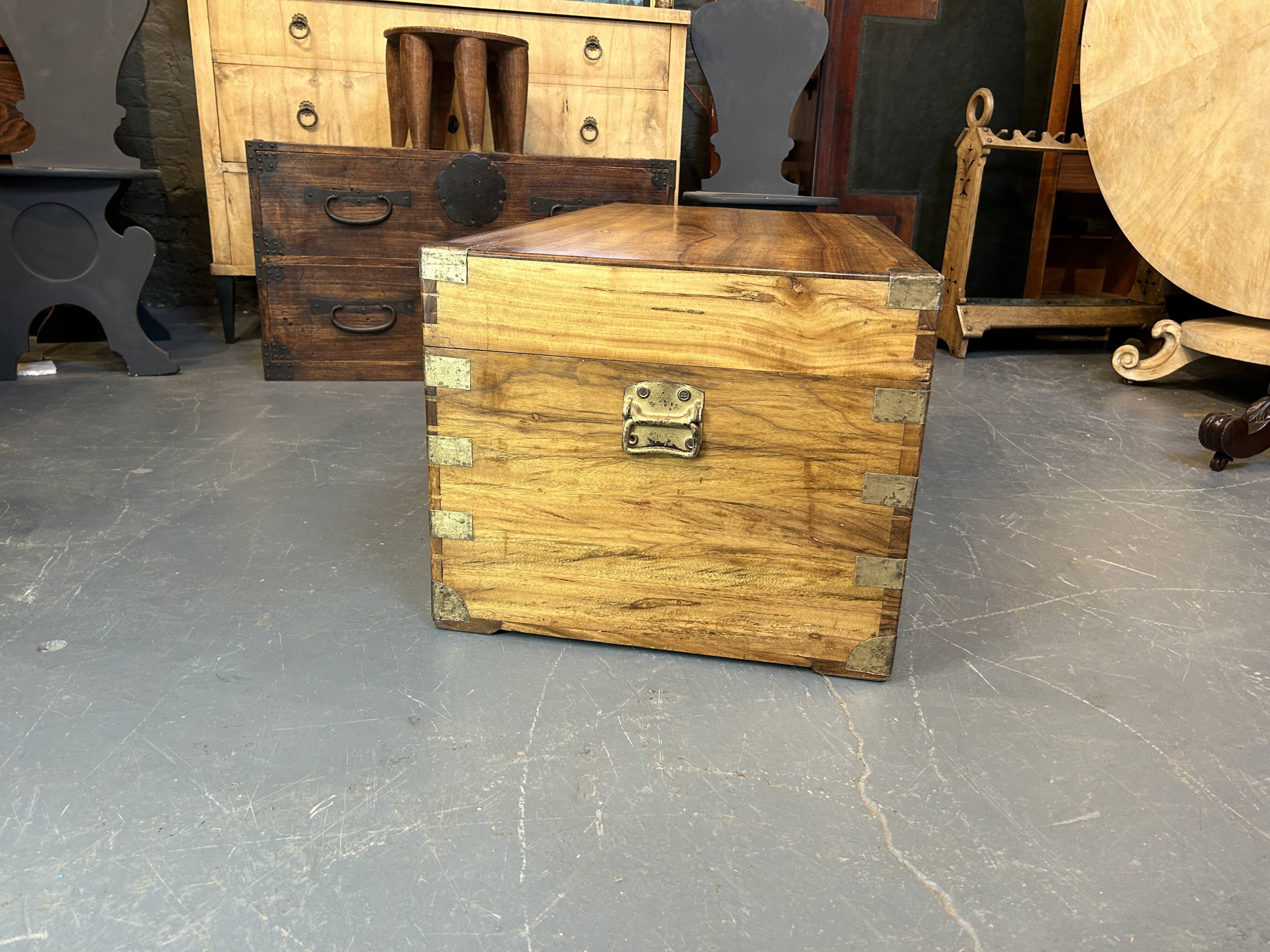 Campaign Camphor Trunk