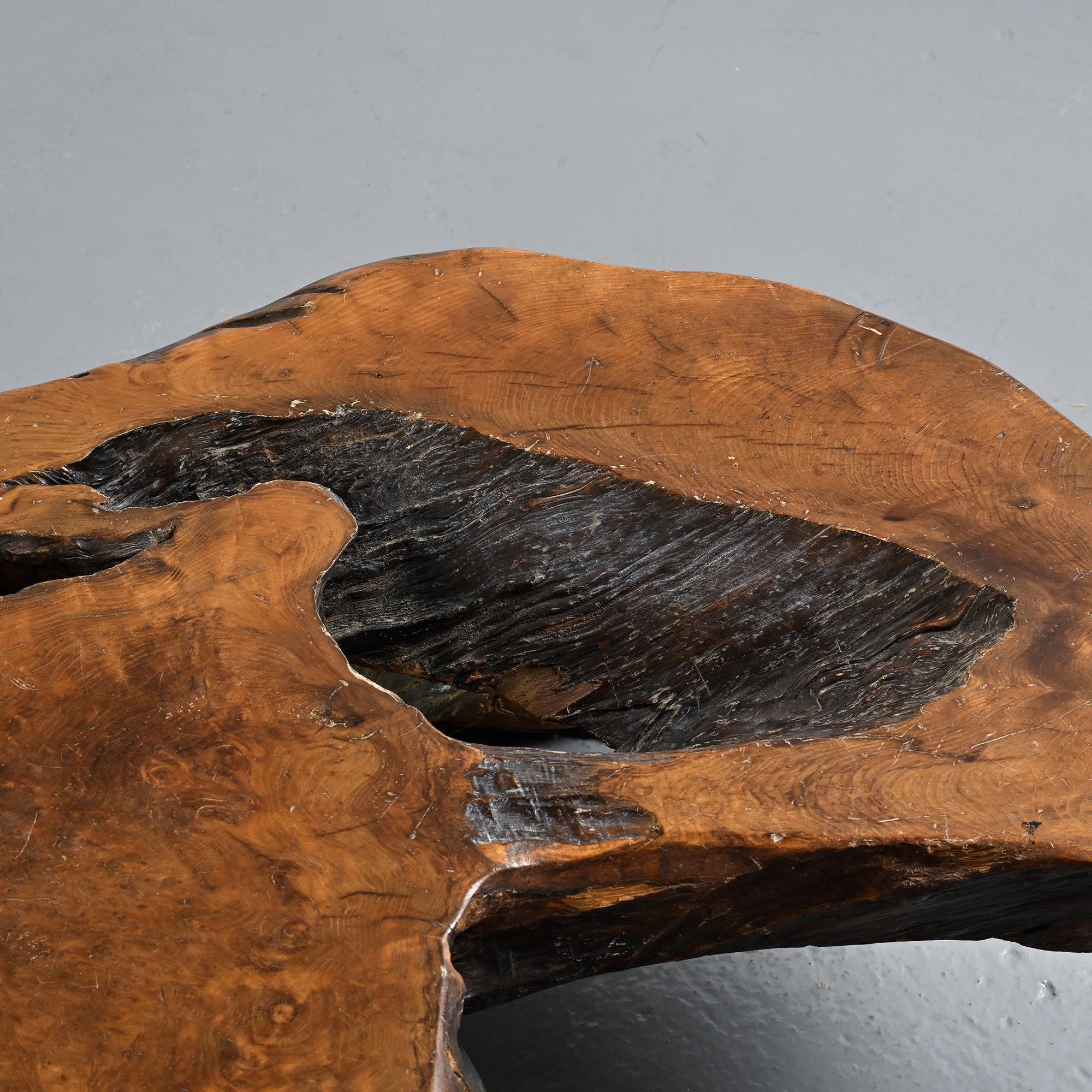 Table basse brutaliste en loupe d'orme, circa 1960