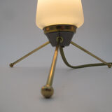 Pair of vintage brass tripod lamps and opaline tulips