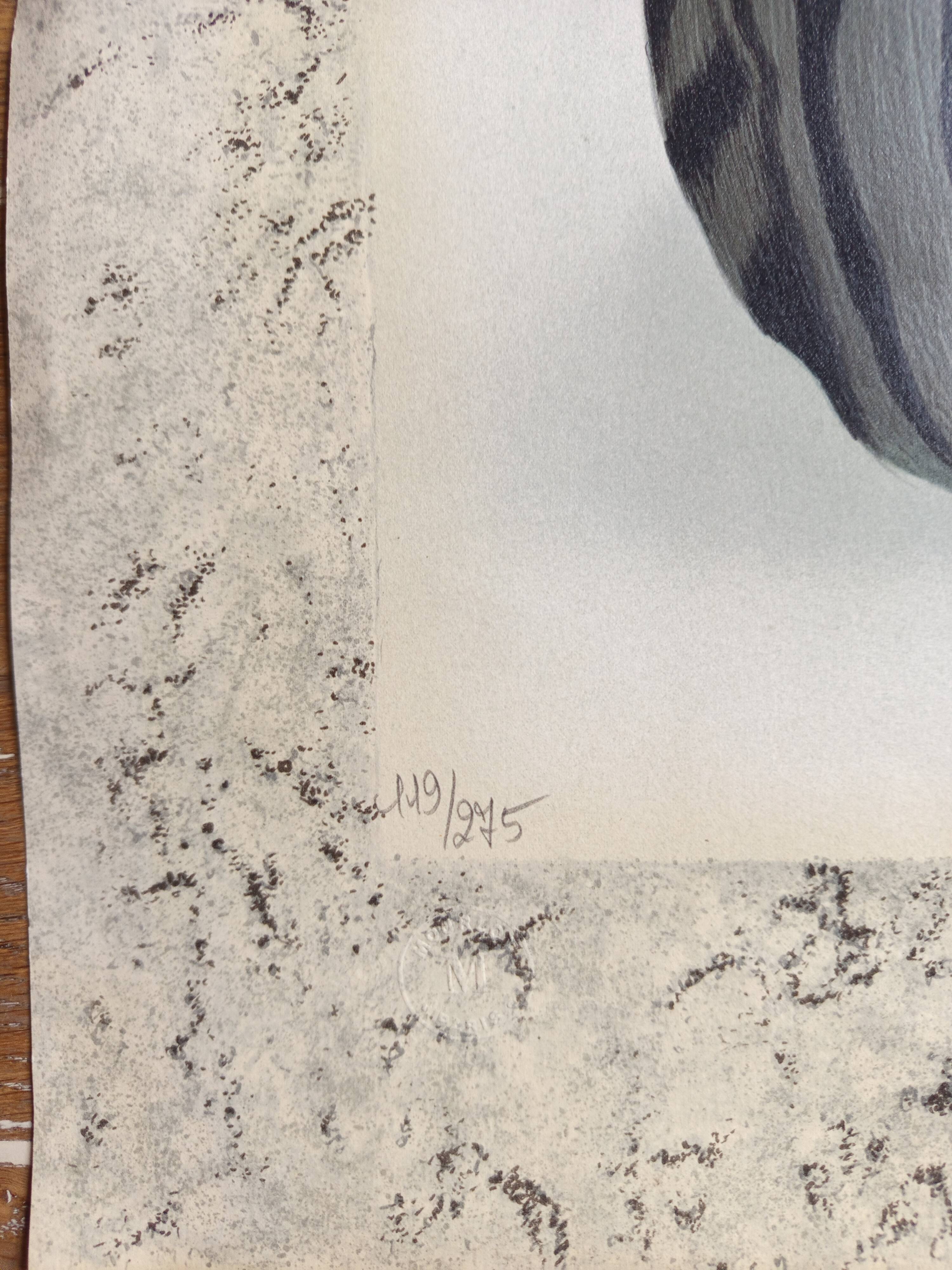 Lithograph "the beauty cat" Michelle Battut