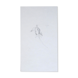 Fuchsia, original drawing
