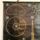 Dr. Auzoux's pedagogical poster - The Urchin - 1958