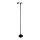 "sintesi terra" floor lamp, eternesto gismondi - 1970s
