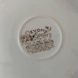 Vintage Johnson Brothers “Devon Sprays” Set