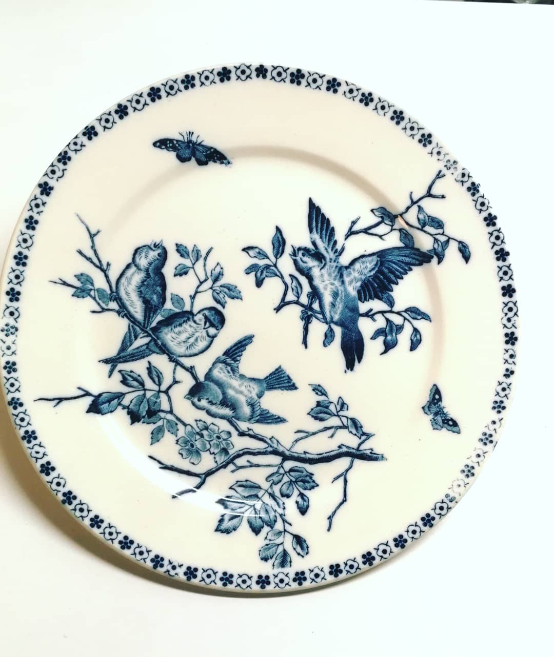 Plates Earth of iron, model "singers" Boch Keramis, 19th brothers