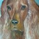 Vintage original dog portrait oil paintings set