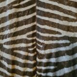 Zebra skin