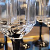 Octime stems glasses 80