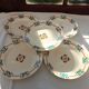 5 flat plates Terre de fer Berck / Longchamp