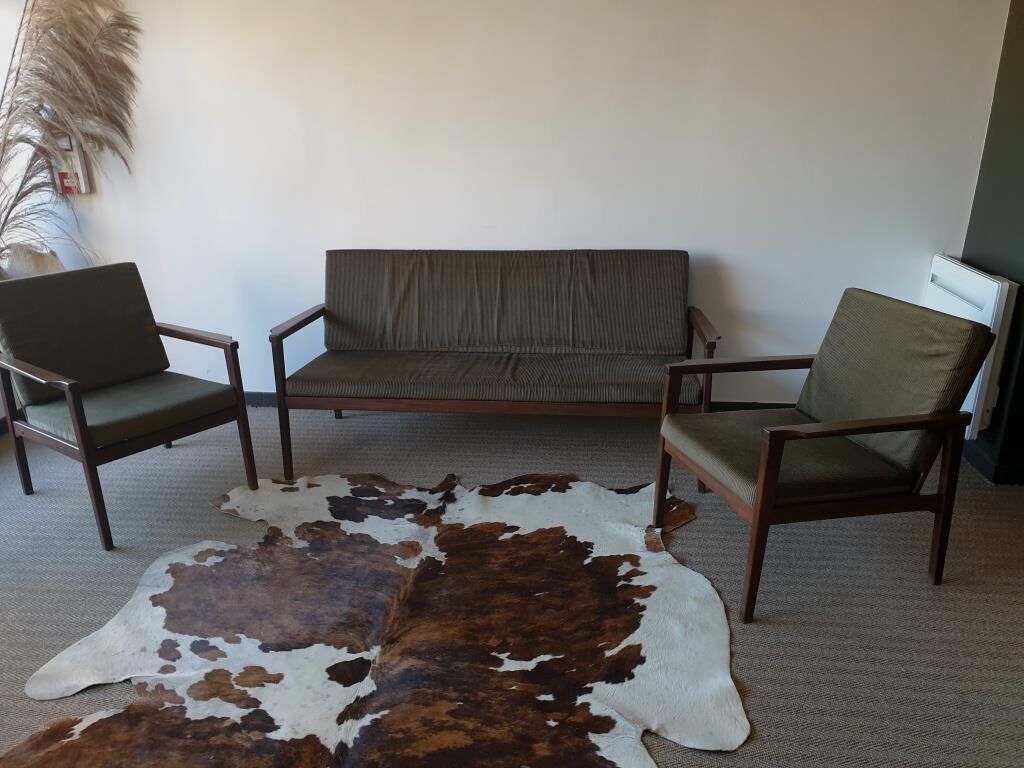 Scandinavian living room armchairs and sofa