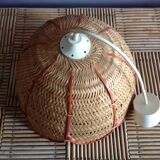 Flower rattan hanging