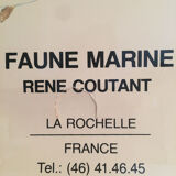 Vintage marine wildlife poster, 80s