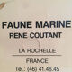 Affiche vintage faune marine, années 80