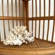 Vintage bamboo and rattan corner shelf