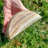 Retro marbled egg bookends 💐