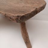 “Tree trunk” coffee table in raw wood from the 70s