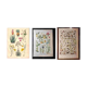 Set of two lithographs from 1922 and a poster on plants