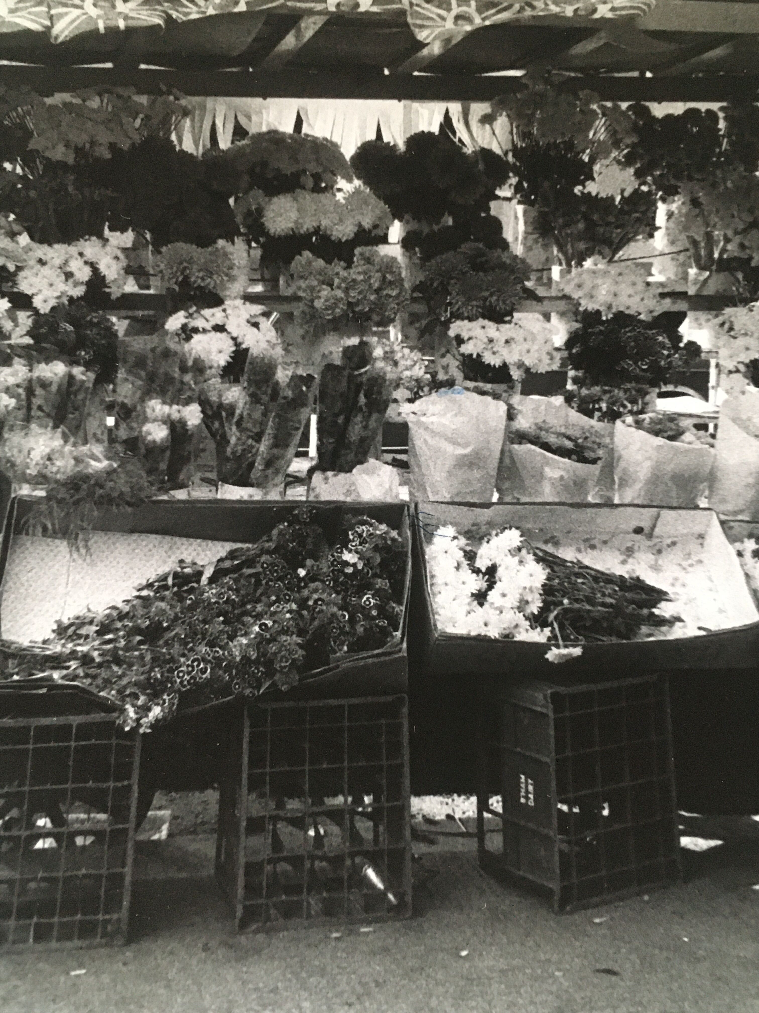 Photo années 80 marché aux fleurs angleterre