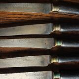 A set of 10 small knives with black wooden handles