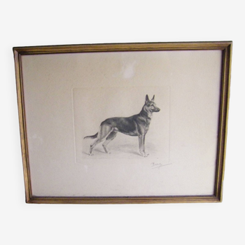 German Shepherd engraving