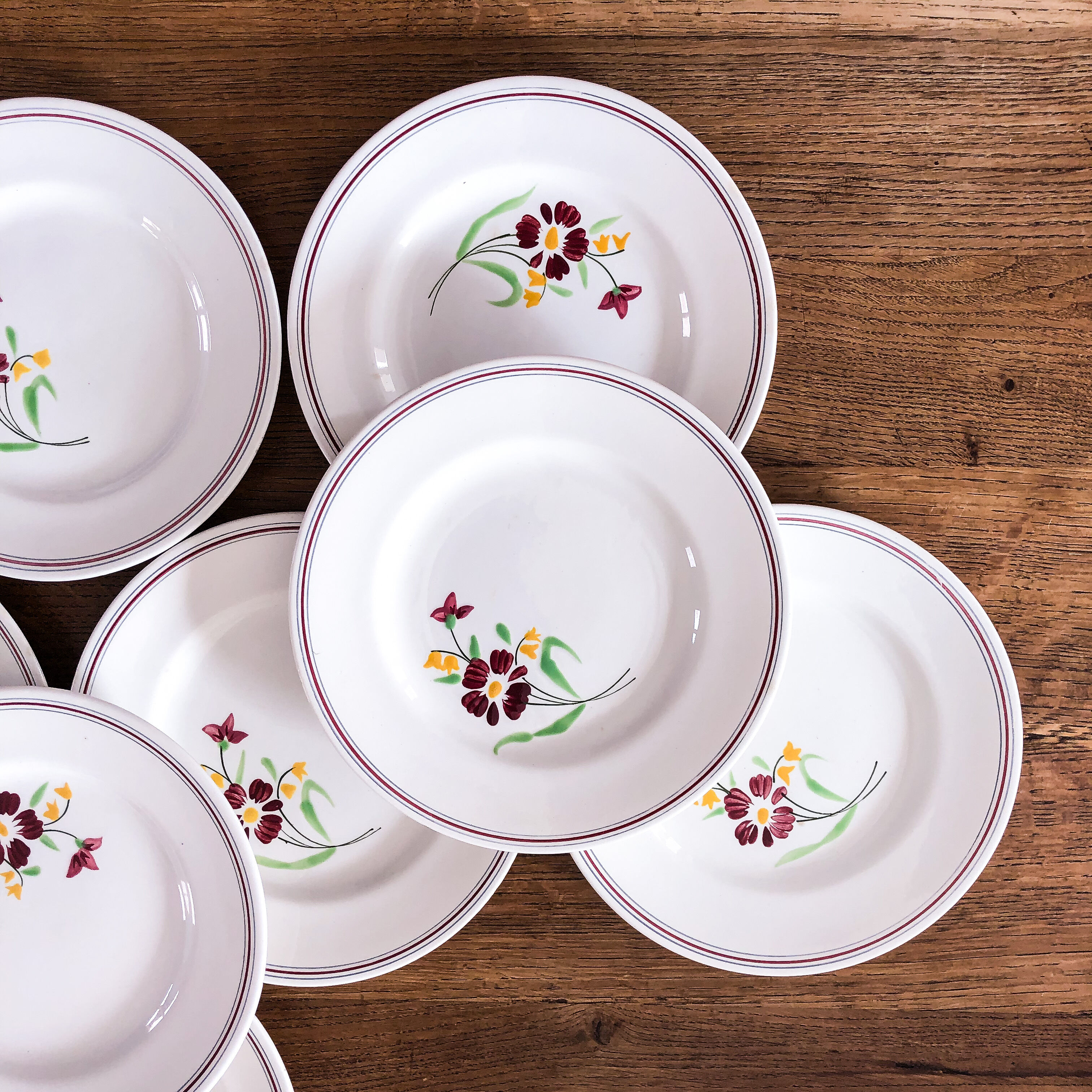 8 plates Salins model Janine