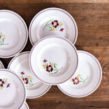 8 plates Salins model Janine