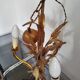 Italian gilded chandelier – 60s/70s