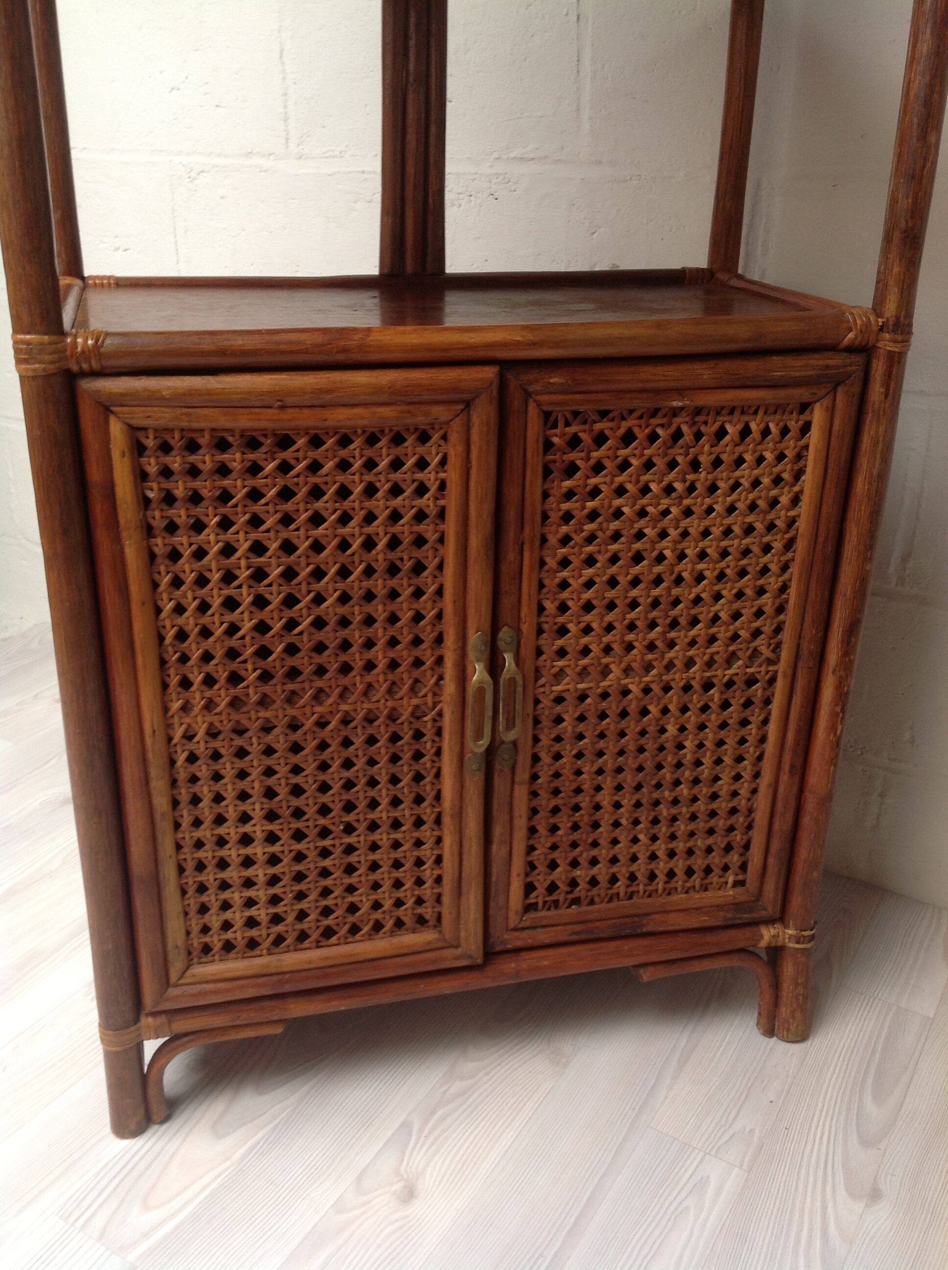 Rattan and canning library