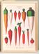 Affiche sur les Carottes, d’après une gravure ancienne de 1886.