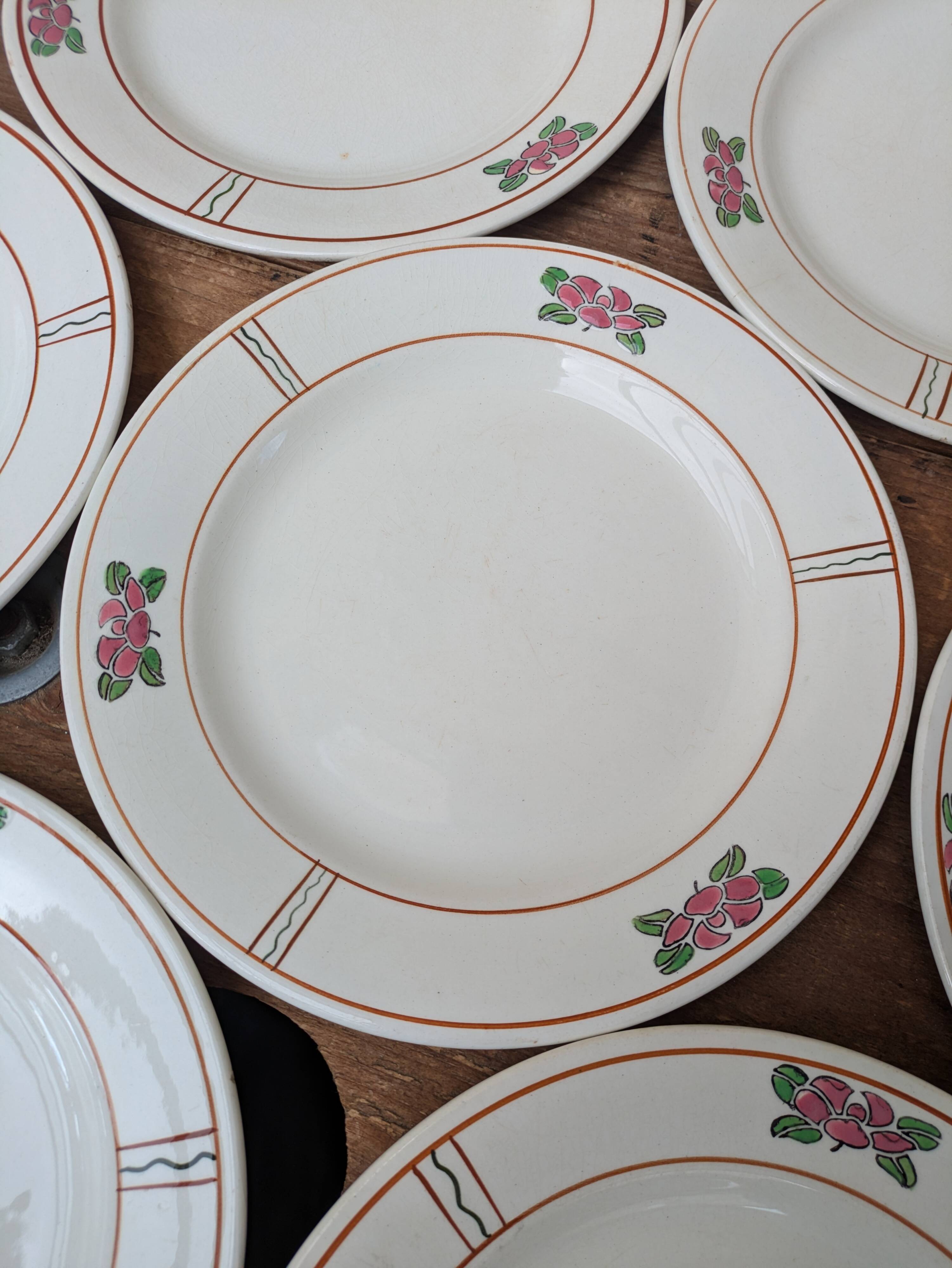 9 old flat plates in Salins ironstone model Nénuphar 24.5cm