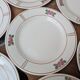 9 old flat plates in Salins ironstone model Nénuphar 24.5cm