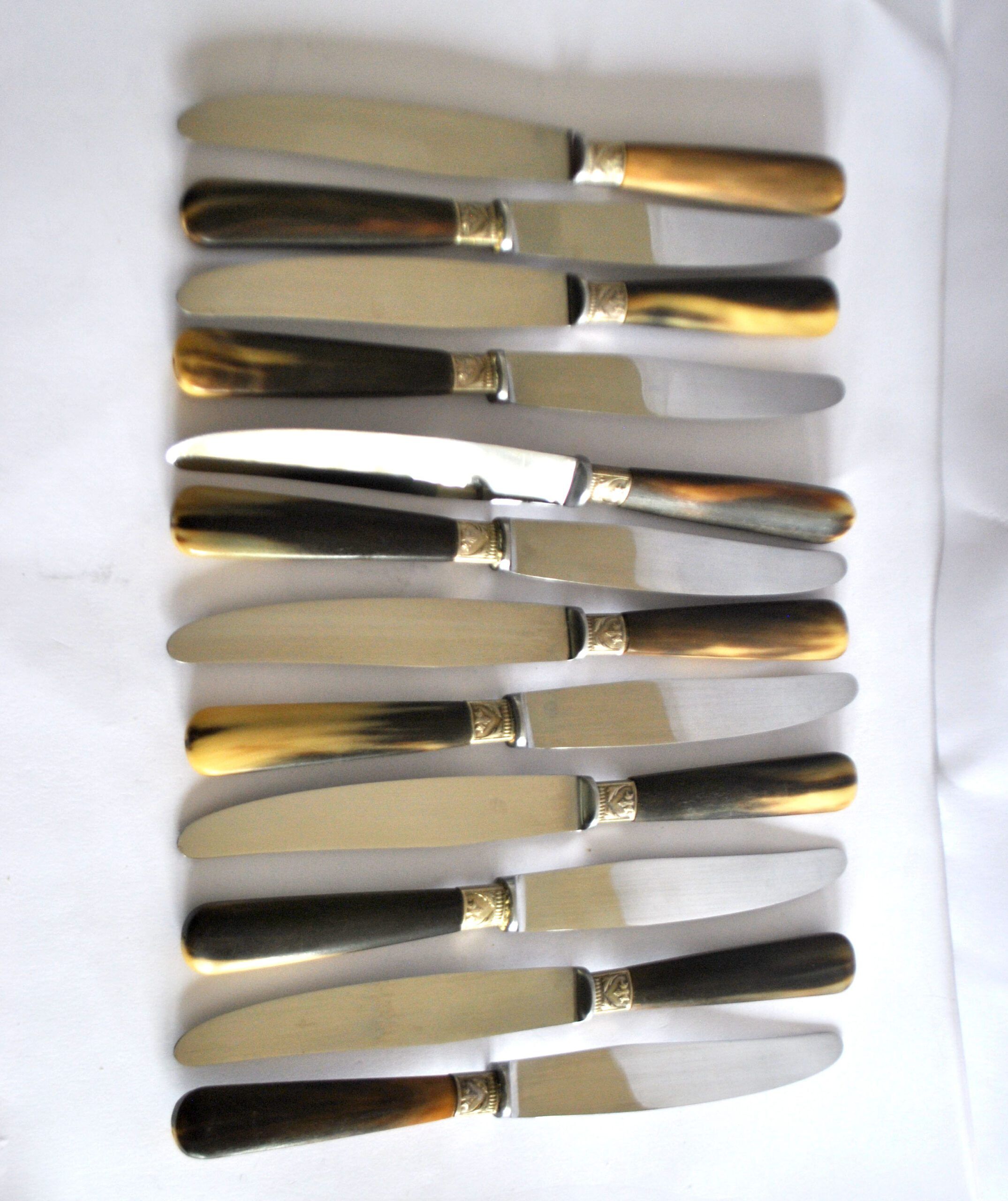 Set of 12 vintage table knives with horn handles and stainless steel blades RENEKA 24.5 cm