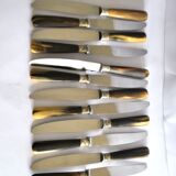 Set of 12 vintage table knives with horn handles and stainless steel blades RENEKA 24.5 cm