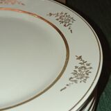 Old Ceranord plates