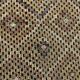 6x9 Yellow Brown Vintage Kilim Rug 199x264Cm