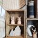 Old trio wooden workshop lockers