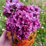 Vase fleurie  vintage