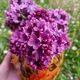 Flower vase - Vintage -