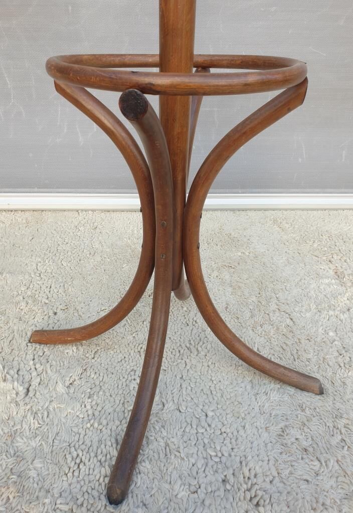 Coat rack parrot bentwood model P30