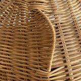 Willow frog Olivier Cajan