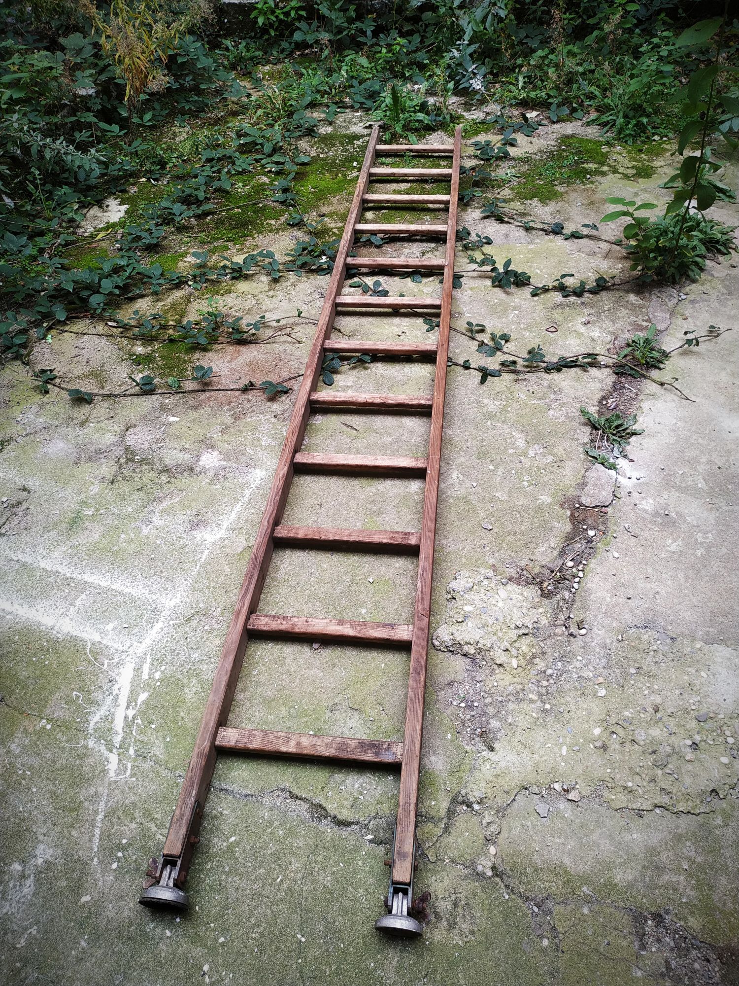 Old Cognet scale 321 cm