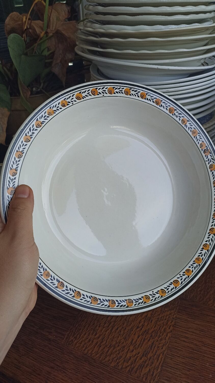 Hollow dish "Valence" by Digoin Sarreguemines