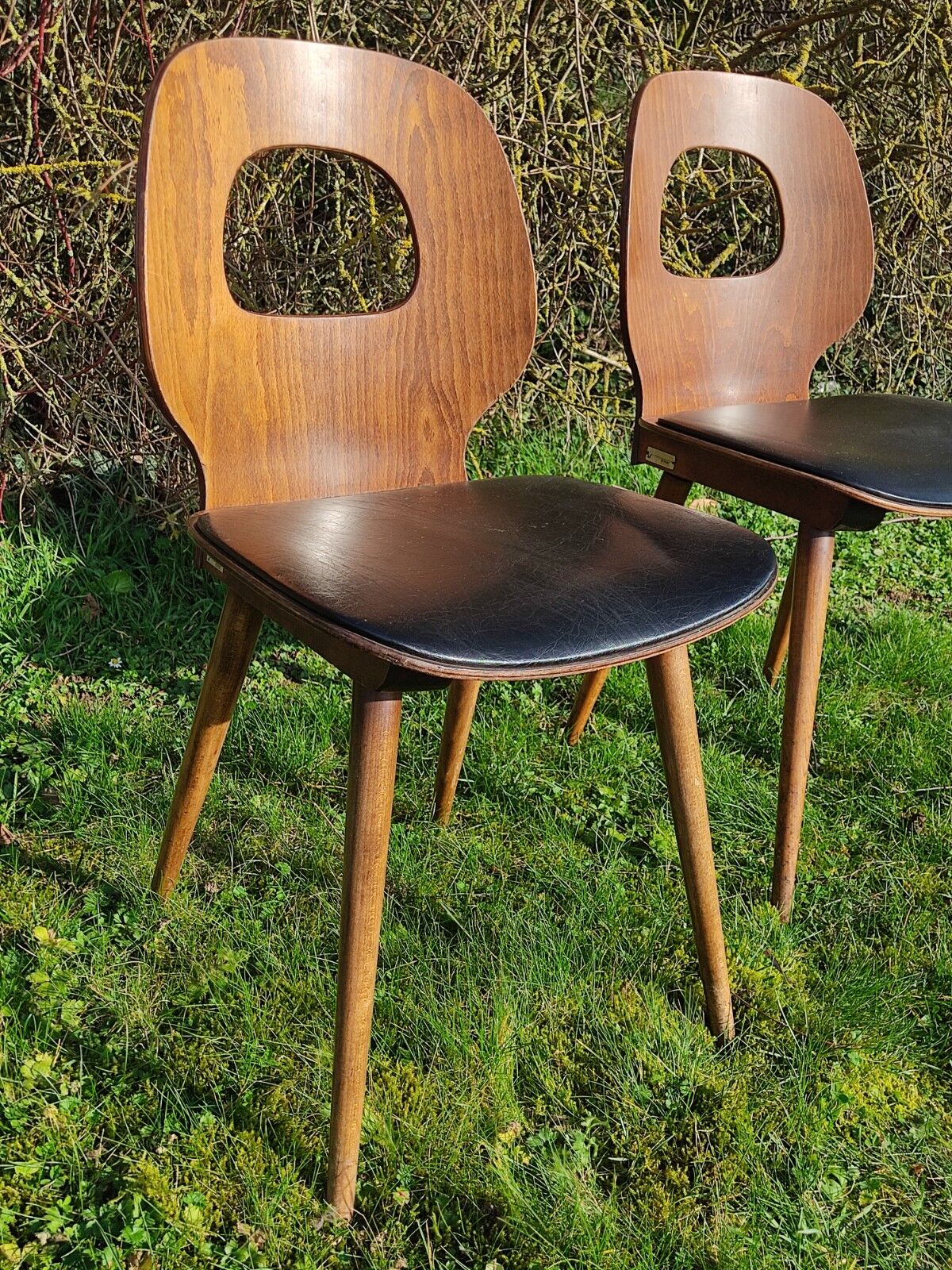 Baumann chairs x2 Ant model